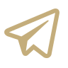 telegram icon